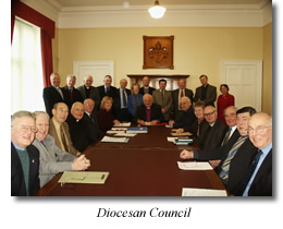 Diocesan Council